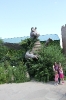 img_1923