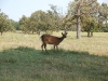 dsc_0091.jpg
