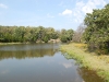 dsc_0096.jpg