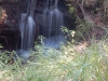 dsc_0113.jpg