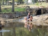 dsc_0146.jpg