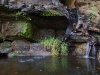 dsc_0181.jpg